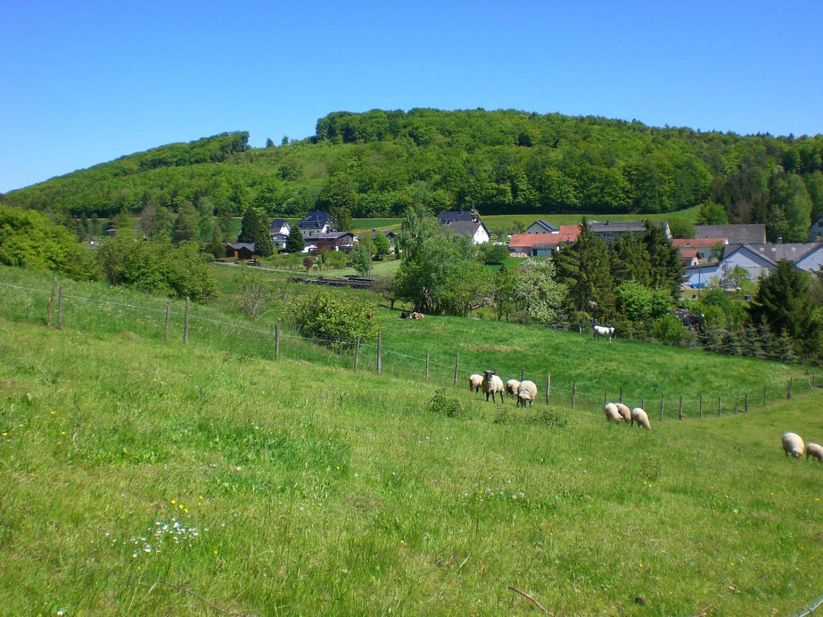 Ferienhof An Der Lay Kerpen (Rhineland-Palatinate) Exterior foto