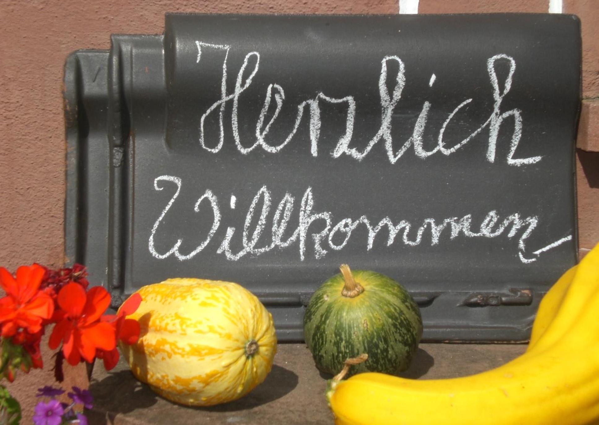 Ferienhof An Der Lay Kerpen (Rhineland-Palatinate) Exterior foto