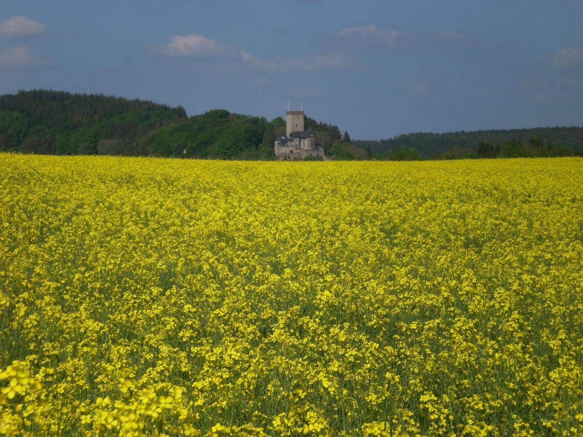 Ferienhof An Der Lay Kerpen (Rhineland-Palatinate) Exterior foto