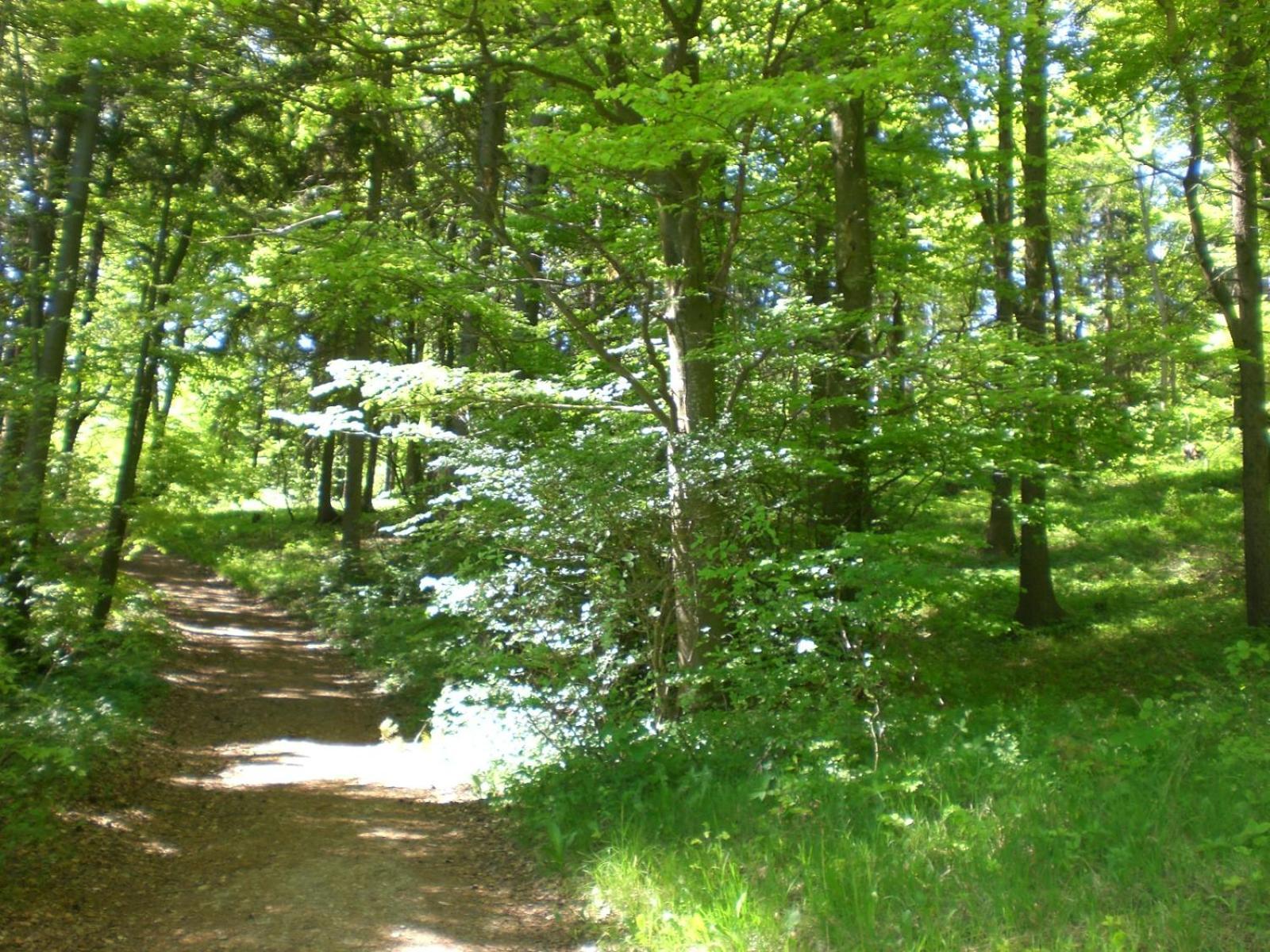 Ferienhof An Der Lay Kerpen (Rhineland-Palatinate) Exterior foto